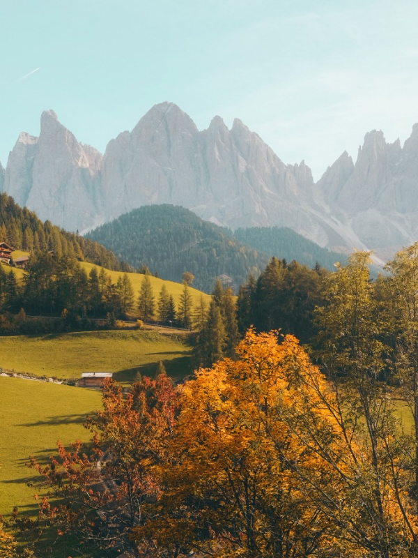 Travel Guide Natures 02